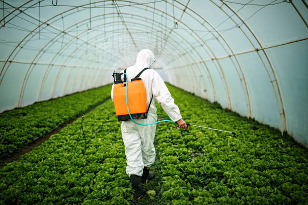 Best Best Pest Control Companies  in Albion, MI