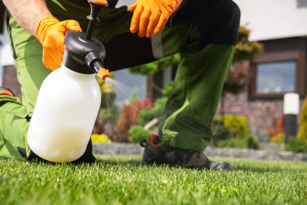 Best Residential Pest Control  in Albion, MI