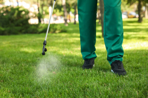 Best Exterminator Services  in Albion, MI