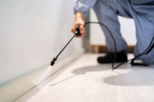 Best Flea Control Services  in Albion, MI