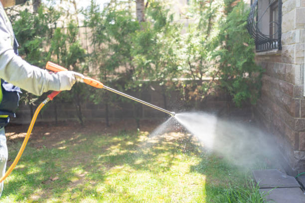 Best Mosquito Control Services  in Albion, MI