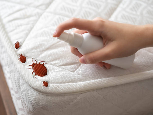 Best Affordable Pest Control Services  in Albion, MI